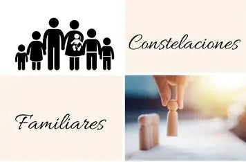 🔗🧬 Todo Está Conectado | Libros para Comprender el Orden Invisible